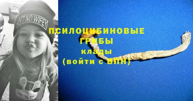 Псилоцибиновые грибы MAGIC MUSHROOMS Минусинск